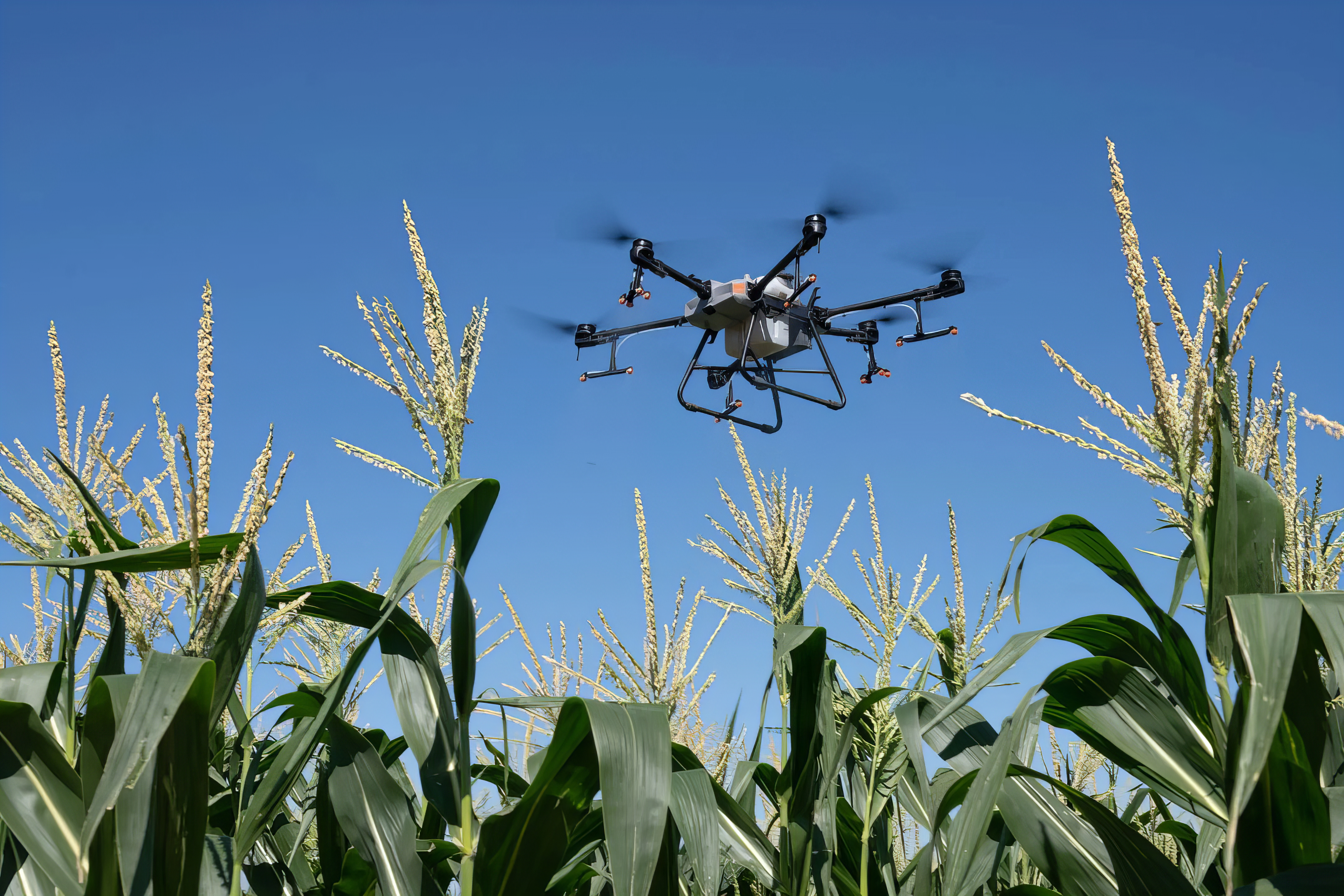 About Smart Farms
